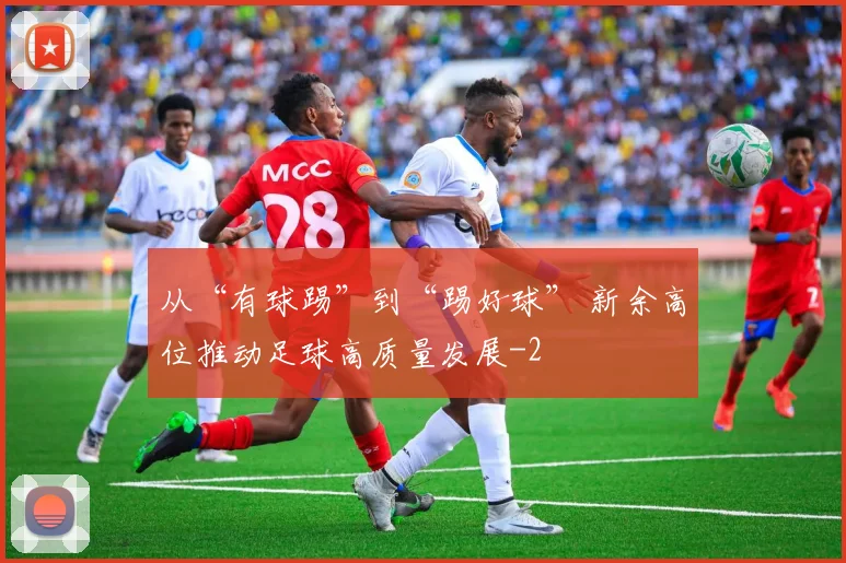 从“有球踢”到“踢好球” 新余高位推动足球高质量发展