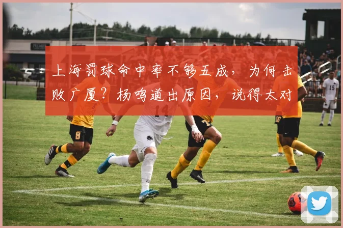上海罚球命中率不够五成，为何击败广厦？杨鸣道出原因，说得太对